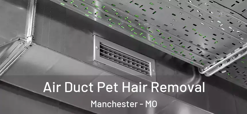  Air Duct Pet Hair Removal Manchester - MO