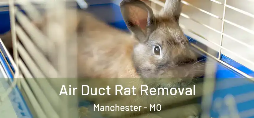  Air Duct Rat Removal Manchester - MO
