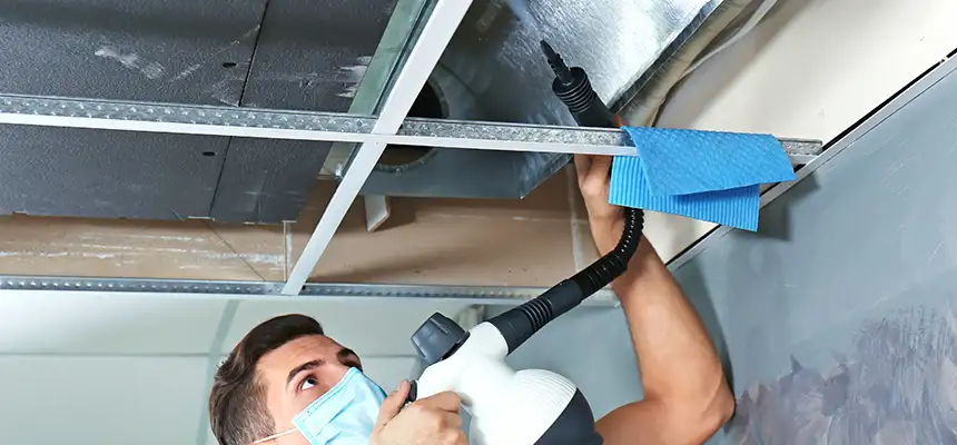 Our Air Duct Rodent Removal Services in Manchester, MO