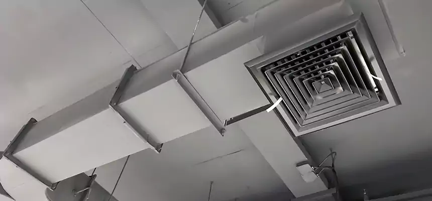 Restorative Allergy Relief Vent Cleaning – Coil, Blower & Housing Detail in Manchester