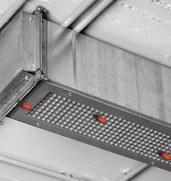 About Air Duct Cockroach Removal in Manchester, MO