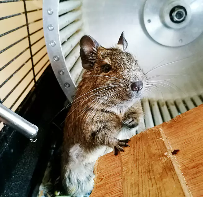 Why Homeowners & Businesses Trust Us Manchester, MO